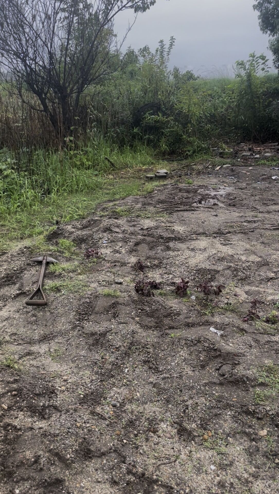 奈良でおすすめの遺品整理・不用品回収ならエーエスプラン！木材や廃材の回収もお任せ下さい