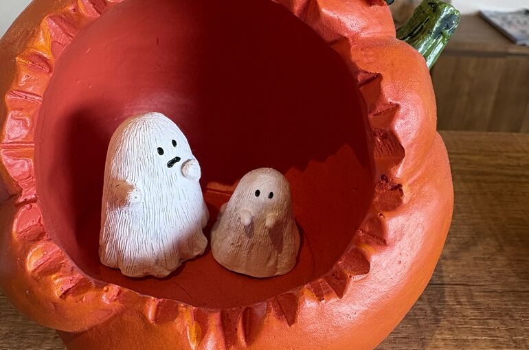    奈良でおすすめの遺品整理・不用品回収ならエーエスプラン！木材や廃材の回収もお任せ下さい   